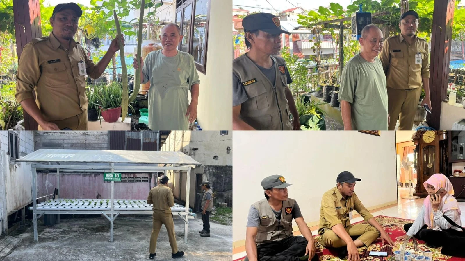 Urban Farming di Kawasan Perkotaan di Kelurahan Gunung Sari Ilir